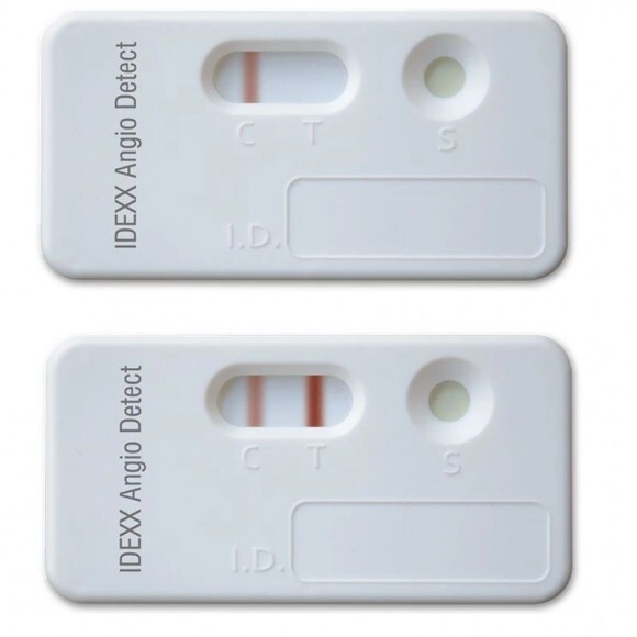 IDEXX Angio teszt 20 db