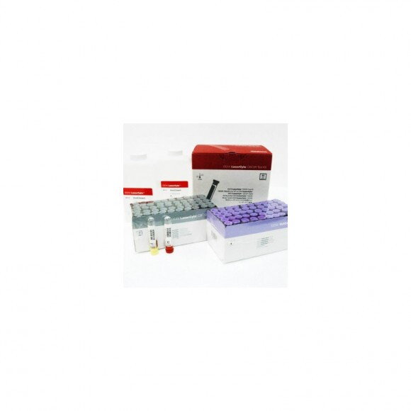 IDEXX CBC5R LaserCyte Reagens készlet 50 db