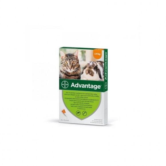 Advantage rácsepegteto oldat kistestu macskáknak és nyulaknak AUV 4 x 0,4 ml