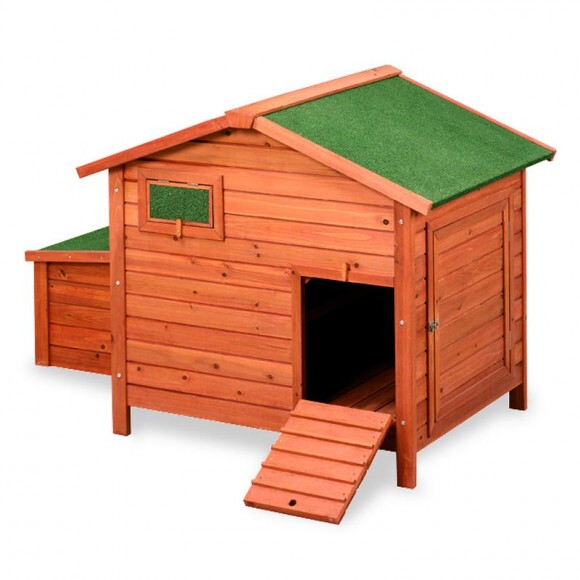 GAUN Berlin tyúkól