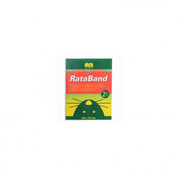GlueBand ragacslap rágcsálók, mászó rovarok ellen 2db