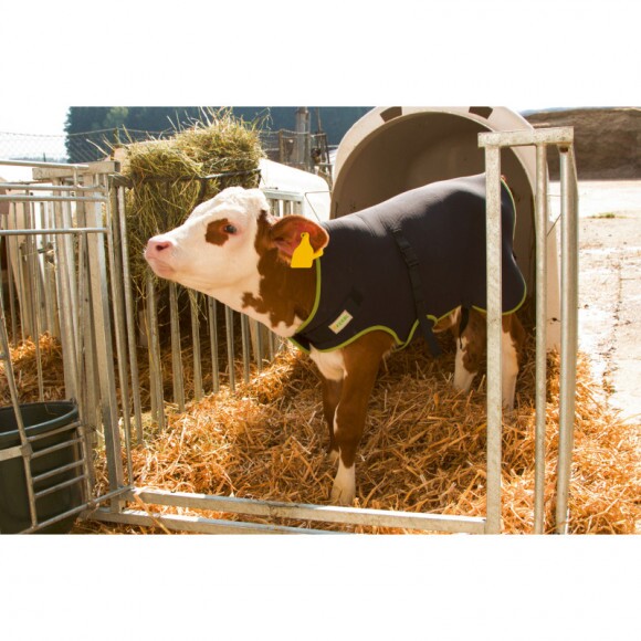 KERBL Borjútakaró Premium, 70 cm