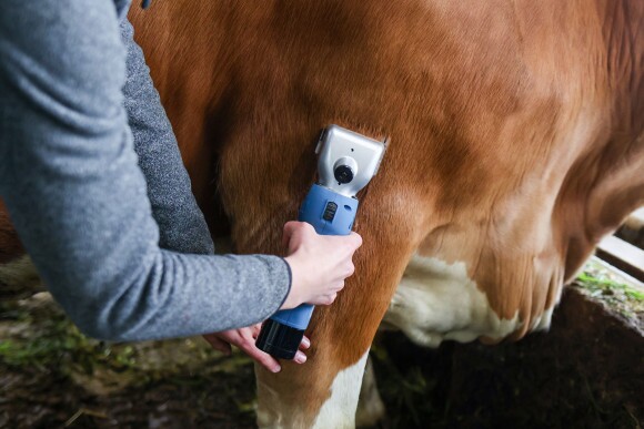 FarmClipper Akku2 szarvasmarha nyírógép, 21/23 fogas