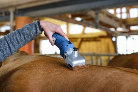 FarmClipper Akku2 szarvasmarha nyírógép, 21/23 fogas
