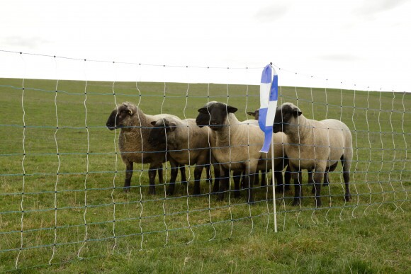 KERBL AKO OviNet Maxi, 50 m, 122 cm, dupla leszúrós