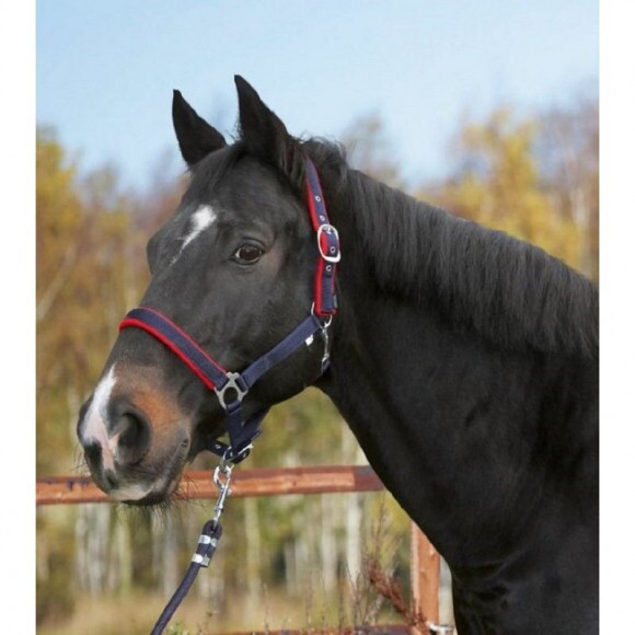 Kötőfék Dexter w/fleecepadding blue, size 3