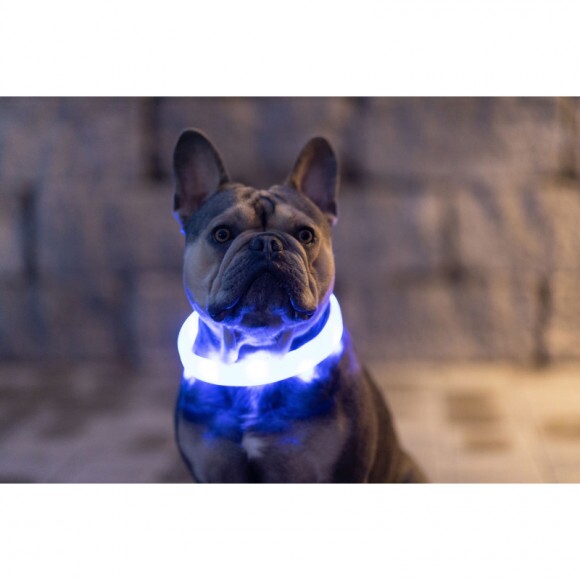 KERBL Maxi Safe LED nyakörv, kék
