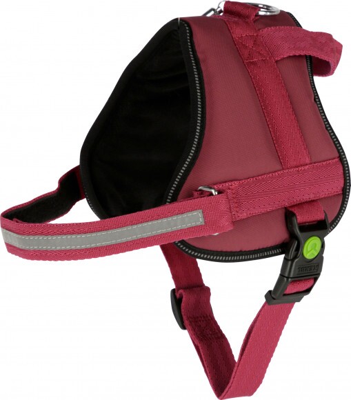 KERBL Maestro 2.0 hám, burgundy, azonosító tubussal, 57-77 cm, 20 mm