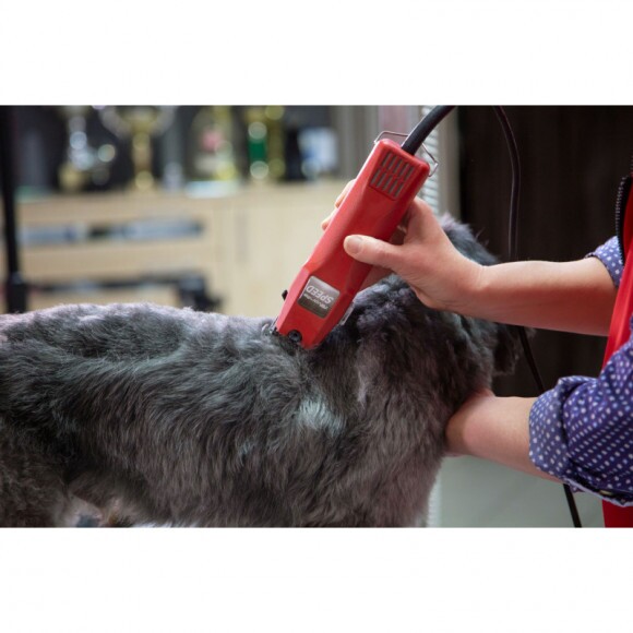 KERBL Aesculap Favorita nyírógép, 230V