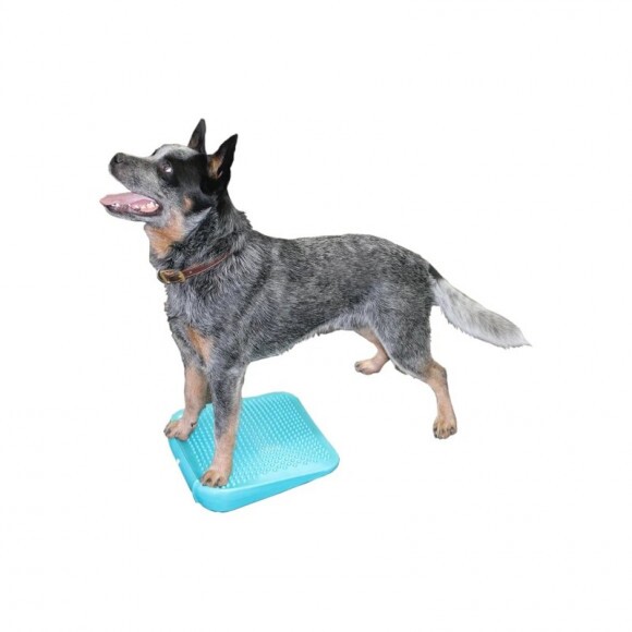 Paw Prosper FitPaws egyensúly rámpa, Aqua