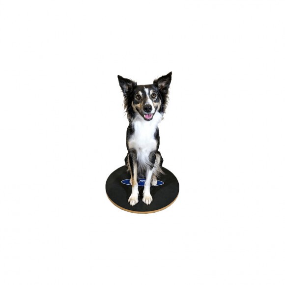 Paw Prosper FitPaws 20 cm-es kör alakú billenő deszka