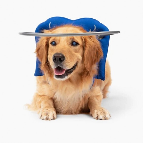 Paw Prosper Muffin´s Halo vak kutyáknak - kék - 7-es méret