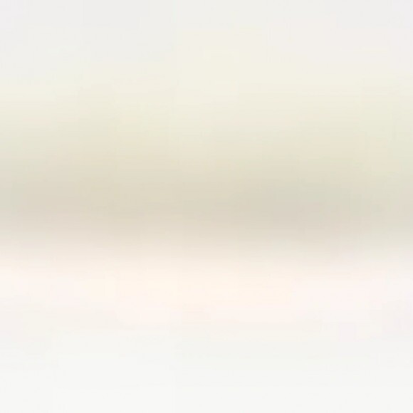 Trixie Kullancskiszedő Műanyag 11cm