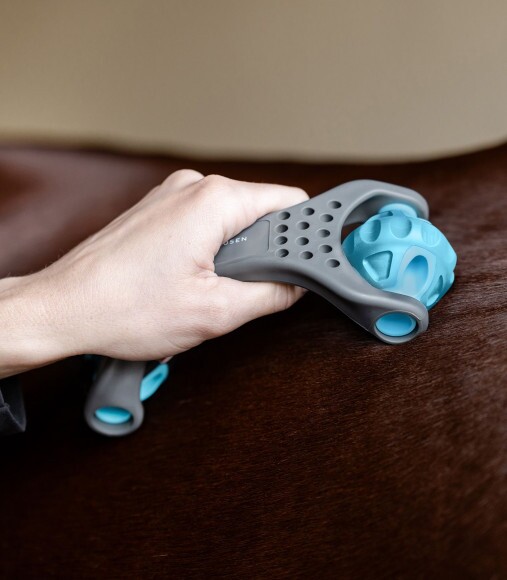 Waldhausen Health + Care Relax Roller masszírozó