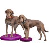 Paw Prosper FitPaws kör alakú razzleberry balance párna 14 cm PPFPEBDRZ14