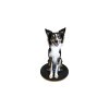 Paw Prosper FitPaws 20 cm-es kör alakú billenő deszka PPFPEWB0020
