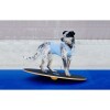 Paw Prosper FitPaws 36 cm-es kör alakú billenő deszka PPFPEWB0036